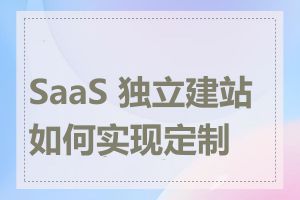 SaaS 独立建站如何实现定制化