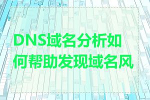 DNS域名分析如何帮助发现域名风险