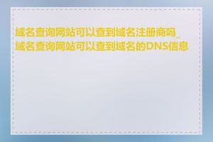 域名查询网站可以查到域名注册商吗_域名查询网站可以查到域名的DNS信息吗