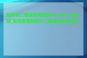 如何将二级域名绑定到WordPress网站_如何查看和统计二级域名的访问情况