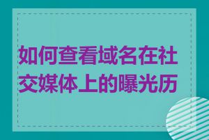 如何查看域名在社交媒体上的曝光历史