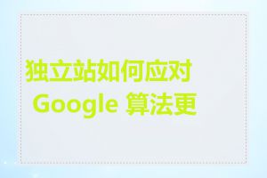 独立站如何应对 Google 算法更新