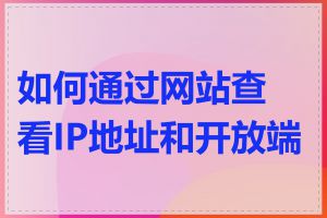 如何通过网站查看IP地址和开放端口