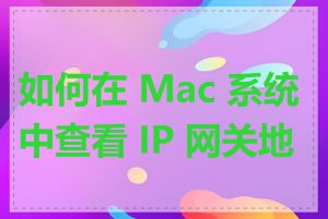 如何在 Mac 系统中查看 IP 网关地址