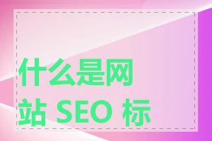 什么是网站 SEO 标准