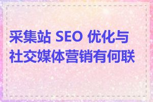 采集站 SEO 优化与社交媒体营销有何联系