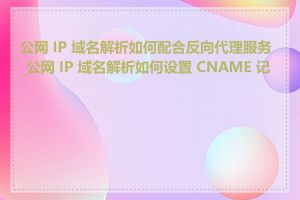 公网 IP 域名解析如何配合反向代理服务_公网 IP 域名解析如何设置 CNAME 记录