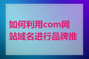 如何利用com网站域名进行品牌推广