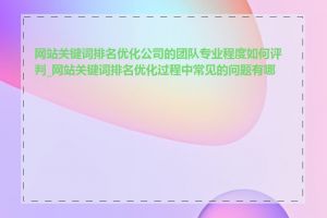 网站关键词排名优化公司的团队专业程度如何评判_网站关键词排名优化过程中常见的问题有哪些