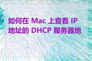 如何在 Mac 上查看 IP 地址的 DHCP 服务器地址