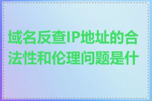 域名反查IP地址的合法性和伦理问题是什么