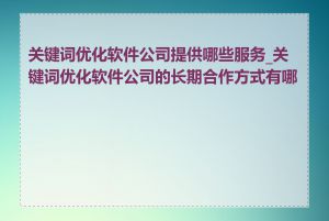 关键词优化软件公司提供哪些服务_关键词优化软件公司的长期合作方式有哪些