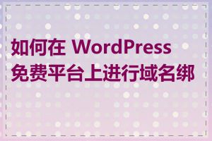 如何在 WordPress 免费平台上进行域名绑定