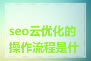 seo云优化的操作流程是什么