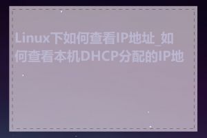 Linux下如何查看IP地址_如何查看本机DHCP分配的IP地址