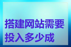 搭建网站需要投入多少成本