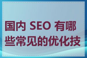 国内 SEO 有哪些常见的优化技巧