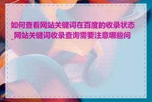 如何查看网站关键词在百度的收录状态_网站关键词收录查询需要注意哪些问题