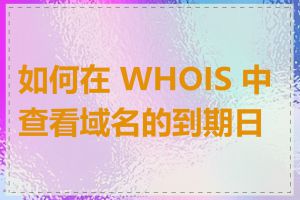 如何在 WHOIS 中查看域名的到期日期