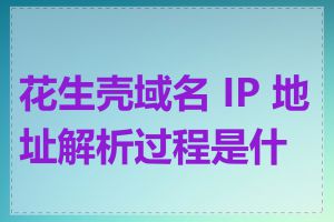 花生壳域名 IP 地址解析过程是什么