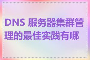 DNS 服务器集群管理的最佳实践有哪些