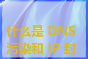 什么是 DNS 污染和 IP 封锁