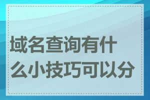 域名查询有什么小技巧可以分享