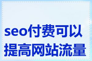 seo付费可以提高网站流量吗