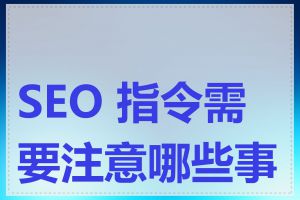 SEO 指令需要注意哪些事项