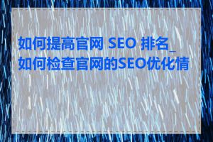 如何提高官网 SEO 排名_如何检查官网的SEO优化情况