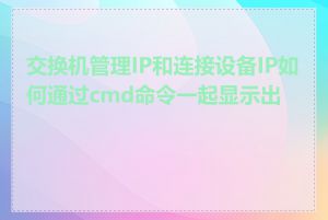 交换机管理IP和连接设备IP如何通过cmd命令一起显示出来