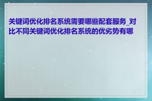 关键词优化排名系统需要哪些配套服务_对比不同关键词优化排名系统的优劣势有哪些