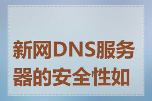 新网DNS服务器的安全性如何