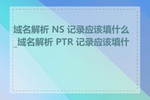 域名解析 NS 记录应该填什么_域名解析 PTR 记录应该填什么