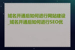 域名开通后如何进行网站建设_域名开通后如何进行SEO优化