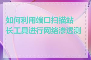 如何利用端口扫描站长工具进行网络渗透测试