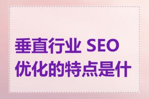 垂直行业 SEO 优化的特点是什么