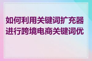 如何利用关键词扩充器进行跨境电商关键词优化