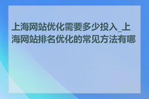 上海网站优化需要多少投入_上海网站排名优化的常见方法有哪些