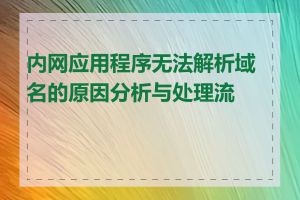 内网应用程序无法解析域名的原因分析与处理流程