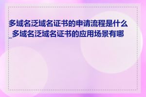 多域名泛域名证书的申请流程是什么_多域名泛域名证书的应用场景有哪些