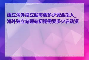 建立海外独立站需要多少资金投入_海外独立站建站初期需要多少启动资金