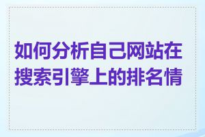 如何分析自己网站在搜索引擎上的排名情况