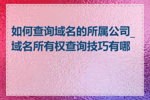 如何查询域名的所属公司_域名所有权查询技巧有哪些