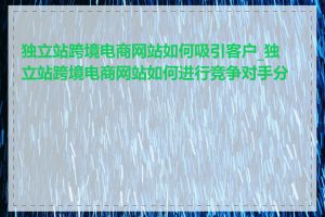 独立站跨境电商网站如何吸引客户_独立站跨境电商网站如何进行竞争对手分析