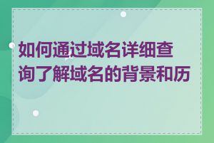 如何通过域名详细查询了解域名的背景和历史