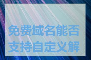 免费域名能否支持自定义解析