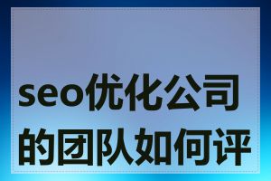 seo优化公司的团队如何评估