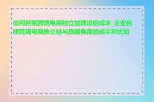 如何控制跨境电商独立站建设的成本_企业自建跨境电商独立站与找服务商的成本对比如何