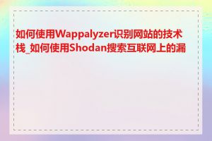 如何使用Wappalyzer识别网站的技术栈_如何使用Shodan搜索互联网上的漏洞